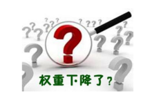 秋田犬厂家SEO顾问_炽绎SEO_见效付费(图5) 秋田犬厂家SEO顾问_炽绎SEO_见效付费(图5)