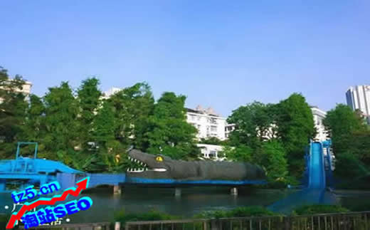 什么是网络平台推广_重庆SEO_见效付费(图5) 什么是网络平台推广_重庆SEO_见效付费(图5)